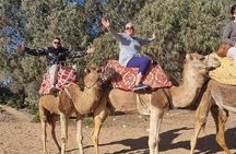 2 Hours Agadir Camel Riding Tour