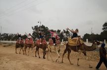 2 Hours Agadir Camel Riding Tour