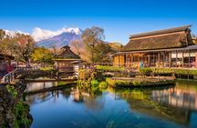 Mt Fuji Private Day Trip from Tokyo with English speaking driver