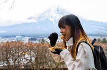 Mt Fuji Private Day Trip from Tokyo with English speaking driver