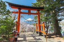 Mt Fuji Private Day Trip from Tokyo with English speaking driver