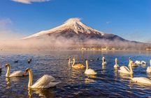 Mt Fuji Private Day Trip from Tokyo with English speaking driver