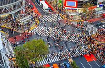 Tokyo Private Sightseeing Tour with English Speaking Chauffeur