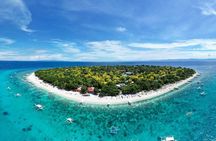 Bohol: Turtle Sanctuary Snorkeling and Boat Tour with Lunch