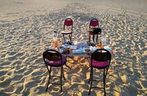 Overnight Camping Tour to Baharia Oasis, Black & White Desert 