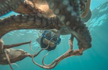 Snorkeling and Hiking with a Private Transport and Guide