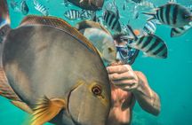 Snorkeling and Hiking with a Private Transport and Guide