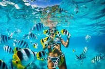 Excursion to Catalina Island and Snorkeling from Punta Cana