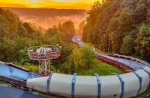 Latvia Bobsleigh and luge track ride experience (Summer Bob)
