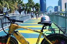 Electric Bike Tour with Free Application for Navigation