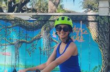 Electric Bike Tour with Free Application for Navigation