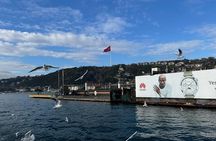 Experience Istanbul: Scenic Bosphorus Cruise with Delicious Lunch