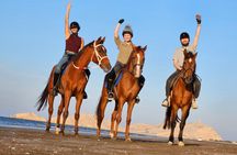 Horseback Riding Muscat Beach