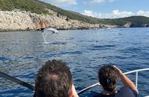 Lady of the Rock and Mamula with Blue Cave Private Tour
