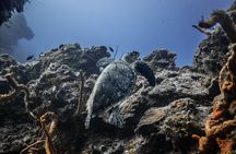 Snorkeling in San Jose del Cabo