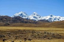Ausangate Trek To Machupicchu 4D/3N