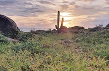 Private Sunrise Tour to Natural Pool Arikok Park + Transportation