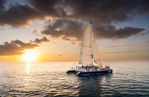 Key West Sunset Sail: Dolphin Watching, Wine, and Tapas