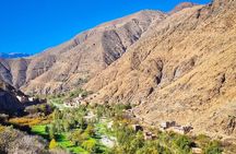 all-inclusive Private Day Trip to ourika velly Atlas Mountain 
