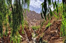 all-inclusive Private Day Trip to ourika velly Atlas Mountain 