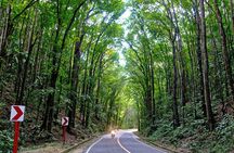 Full Day Private Tour to Bohol Countryside From Cebu City