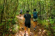 Full Day Private Tour Sightseeing to Phu Quoc with Licensed Guide
