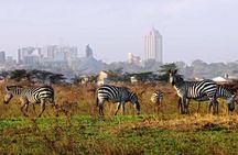 Full Day Tour Nairobi National Park, Giraffe Center ,Karen Blixen
