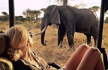 4-Day Amboseli National Park Safari on 4x4 Landcruiser Jeep