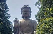 Lantau Island Tian Tan Big Buddha Excursion with Mercedes Benz 