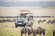 4 Days Maasai Mara Flying Luxury Safari at Mara Simba on Jeep