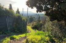E-BIKE adventure in Montecatini Terme and Valdinievole