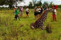 3 Days 8th Wonder Of The World with Maasai Mara Great Tour