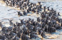 3 Days 8th Wonder Of The World with Maasai Mara Great Tour