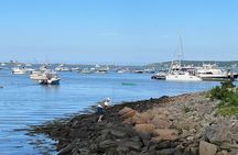 Plymouth half day private tour from Boston, groups 5-6