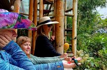 Looking for nature around Quito? Mindo cloudforest Private Tour