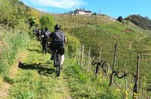 Half-Day E-Bike Tour in Prosecco Hills with Prosecco Tasting