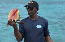 Stingray City and Snorkel Tour With Lunch