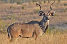 3 Days Tour to Tarangire, Ngorongoro and Materuni