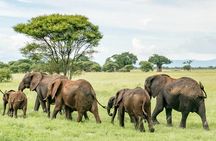 3 Days Tour to Tarangire, Ngorongoro and Materuni