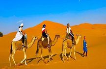 Sunset & Sunrise In Merzouga Desert by Camel Ride or Jeep Safaris