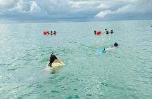 Private Snorkeling tour