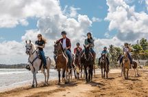 Luquillo Beach Horse Ride from Carabalí Rainforest Adventure Park