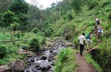 1 Day Private Materuni Village, Waterfalls