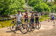 Explore Athens Historical Centre by Bike