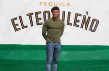 Private Adventure to El Tequileño Distillery and visit to Tequila