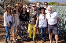 Private Adventure to El Tequileño Distillery and visit to Tequila