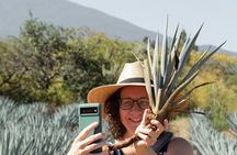 Private Adventure to El Tequileño Distillery and visit to Tequila