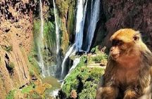 Ouzoud Waterfalls Private Day Trip From Marrakech