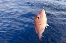 Traditional Fishing Experience in Zakynthos