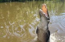 Small Airboat and Oak Alley Plantation Tour from New Orleans